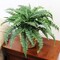 6-Pack: Boston Fern Plant with 50 Silk Fronds, 34" Wide, Floral Home by Artificial Flowers
